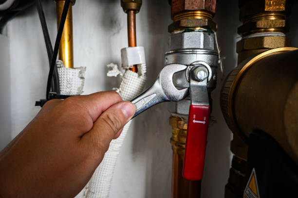 Best Affordable Plumbing Services  in Teutopolis, IL